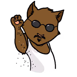 Salt Bae Cat