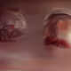 74293799050387342808499352252437393308717987467345801669079773607784506982401