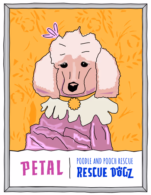 Item #30690731946652718087334591486962028713730520455891869769803774210879766134785 Media