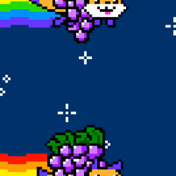 Grape cat