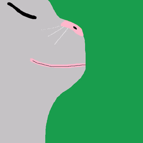 Grey catJAM - Green