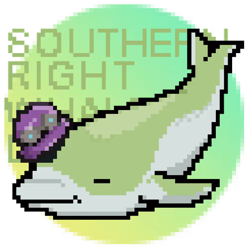 Item #76886183400510986828564600332623285787207885382450708502093141752247643799553 Media