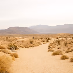 Brown Desert