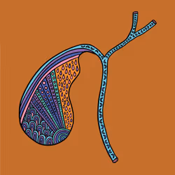 28824502245252267217549902857601847351510039266873569823091148461395574521857