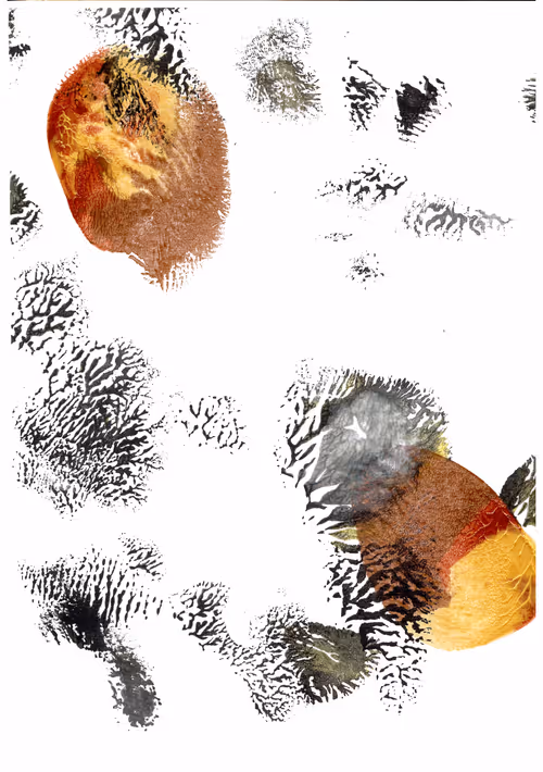 Item #89670604378702788202147337844045497106503985652186987898172136857600935329793 Media