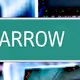 47676347449108835127813784620142922548775305569523741241834308796942385152001