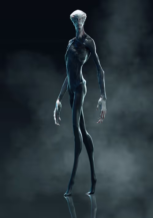 Item #112115287646496629303643916270863372458820855352705615826362623877390117371905 Media