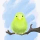 Taco the bird