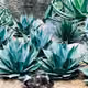 69951238294014232429870071182955054002985873967491921698688238159107087925249