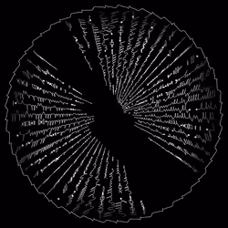codex -307042218.