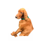 78770687501384158307179367848502076455878205720259361408903861660895854723073