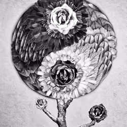 Primary Nature 027 Yin Yang 01