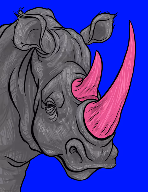 Item #60342236005163987948556802886235213316063293567500632170058184711450434469889 Media