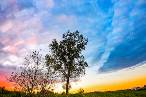 Item #38451764483071137049617104277060770361693514459204374406310069320967128088577 Media