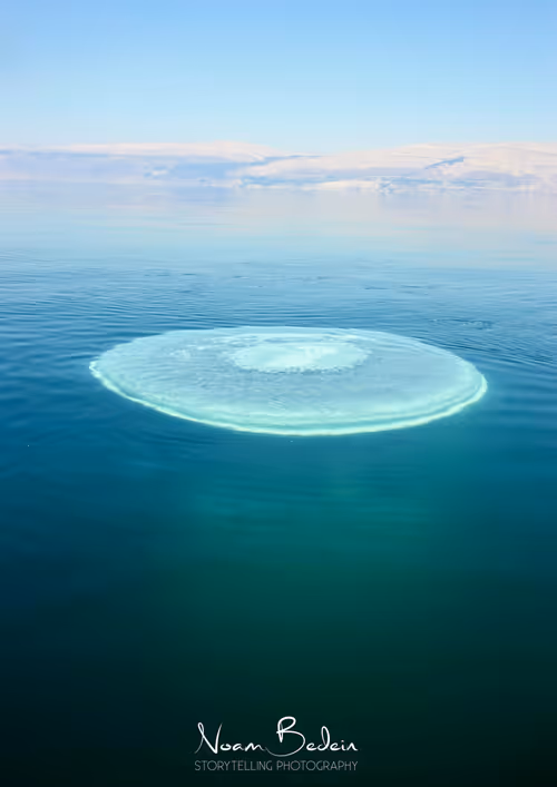 Item #95487849317578156668407947813270977219507958341613575813230836804198716145665 Media