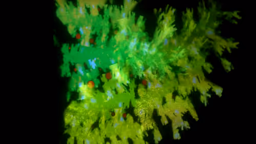 Item #67457553150443021914092587022250176347061355639032054621716075717774096203777 Media