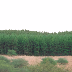 Forgotten Landscape02 | Photograph makers & sons No.4