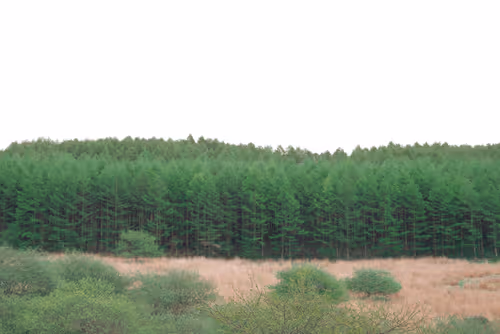 Item #99400781965356512017586416737333400682659956935423818943458207238906234011649 Media