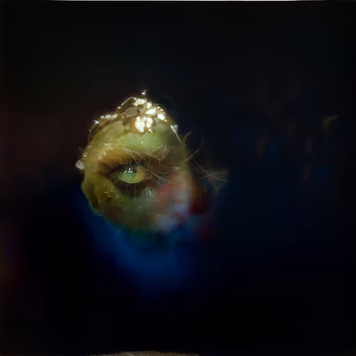GodEye  #113