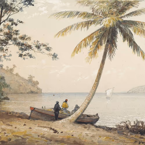 Trinbagohistoricalartcollective