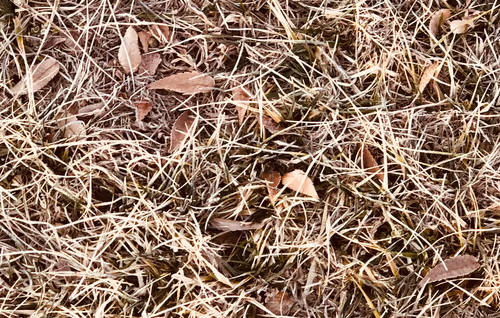 Item #5985210497355107417265215381210579199842884272282595265964883335244144443393 Media