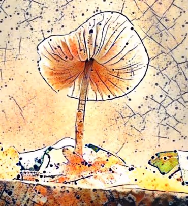 Item #98828088198769885069129805652987605738903563667474416042030428819215353905153 Media