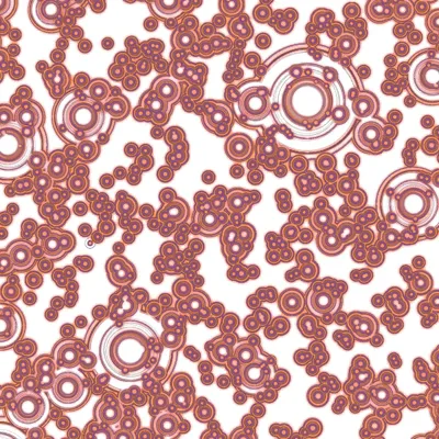 Item #87353216888022099964370645107572389874129925836752805213271095437470996627457 Media