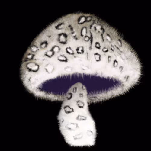 Item #46034849265832991985054005845495595569977159826723230396281256247363259858945 Media