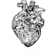 92170265260069361973683267646348852284378120321352301126602011105021254434817