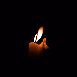 Light