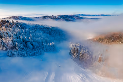 Item #65269379632311846935399782882204569097727852273357050594250130905727305252865 Media