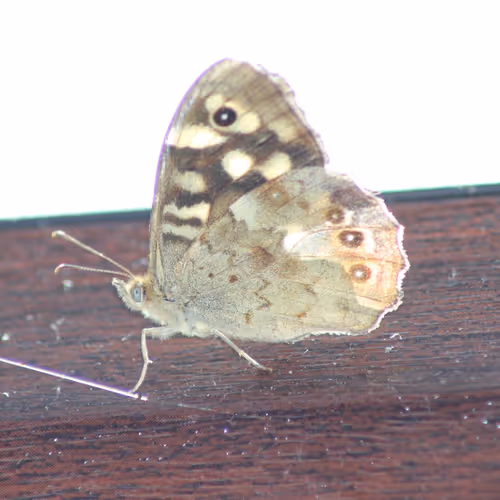 51124555051901614330264480006545612592022390906904121289505624542617515589633