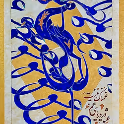 51569041939935440354314407299606396041227707746010450893164978280217079447563