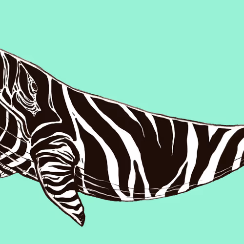 Wryto Well 07 Zebra Well