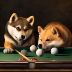 Shibillards