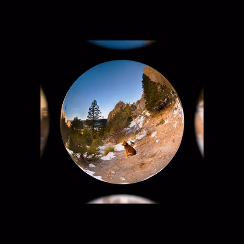 Item #79686203152266121205828546412768747046883568700953071774842845415942469451777 Media