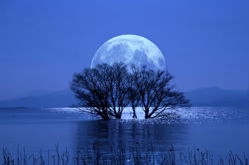 Item #27406641830572157214490457198942136742694081850305135819742415213037583597569 Media