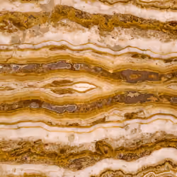 Meta Marble 10/10 - Tiger Edition