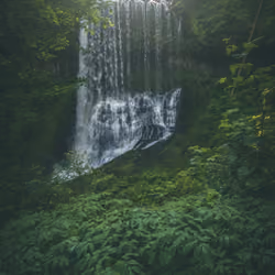 #33. Serenity