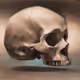 Skull Paintings