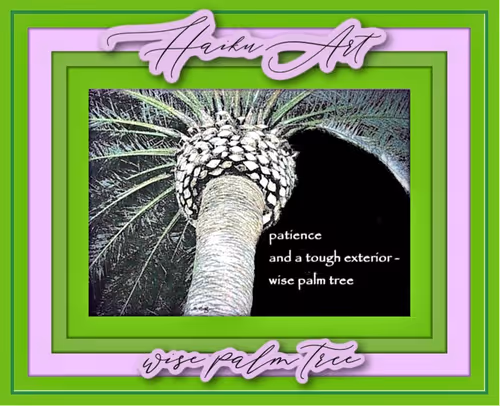 Item #31654410280115823025506001687003673065121824444213070757845373067280806576129 Media