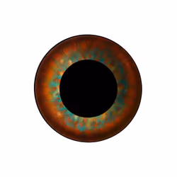 74362063762511380602904448292247219437857162932066852278613270727438584774657