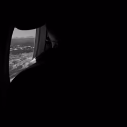 The man in the window 