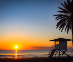 Sunfall