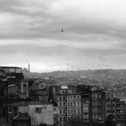 Black White Journey