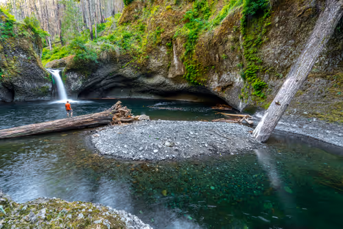 Item #85108885410868237358729630107342733558834048724782448774990413341176352473089 Media