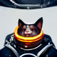 11638016672369586638854755016859924984453623319284272340592321930583842226177