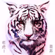 TigerPower Collection