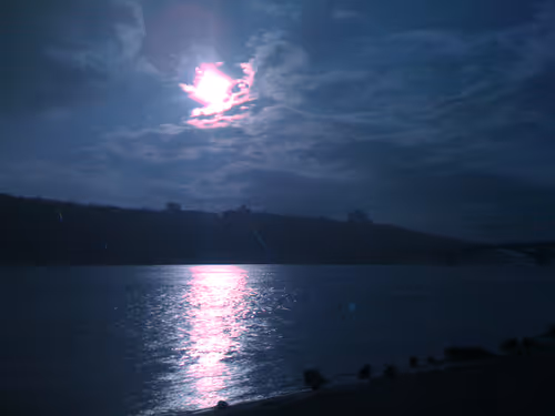 Item #81992218389182375082061007877249714838404389914539111241727743939983846670337 Media