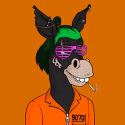 Criminal Donkey 6979